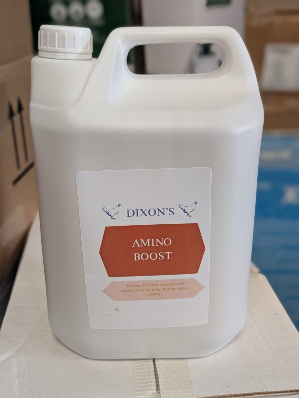 Amino Boost 5L